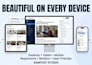 build a professional learndash or tutor lms website in wordpress